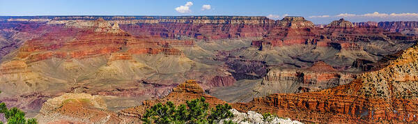 Arizona Poster featuring the photograph Grand Canyon by John Roach