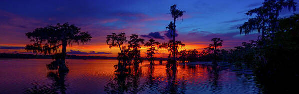 Orcinusfotograffy Poster featuring the photograph Louisiana Blue Salute Reprise by Kimo Fernandez