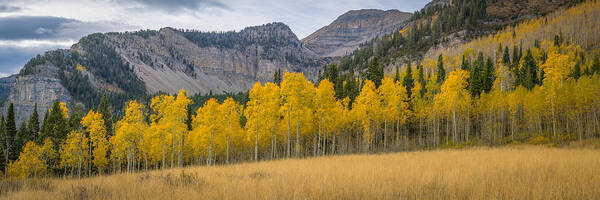 Autumn Poster featuring the photograph Mount Timpanogos Meadow in Fall by James Udall