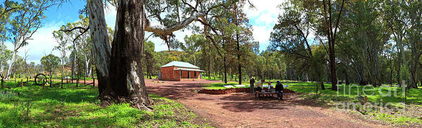 Wilpena Pound Homestead Historical Heritage Flinders Ranges South Australia Australian Landscape Landscapes Pano Panorama Gum Trees Poster featuring the photograph Wilpena Pound Homestead by Bill Robinson