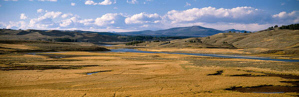 Photography Poster featuring the photograph Yellowstone River In Hayden Valley by Panoramic Images