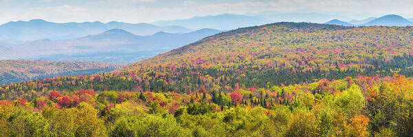 Autumn In Vermont Poster featuring the photograph Autumn In Vermont by Brenda Petrella Photography Llc