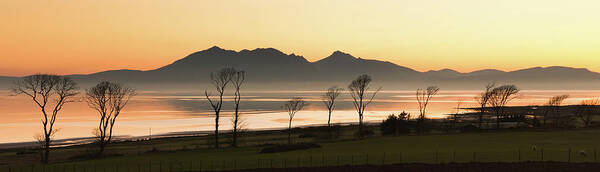 Water's Edge Poster featuring the photograph Bare Trees At Coast by Image By Peter Ribbeck