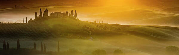 Italy Poster featuring the photograph Tuscany In Gold by Evgeni Dinev