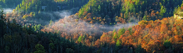 Autumn Poster featuring the photograph Autumn Morning Mist by Monroe Payne