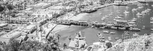 2017 Poster featuring the photograph Catalina Island Avalon Black and White Panorama Photo by Paul Velgos
