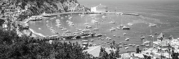 America Poster featuring the photograph Catalina Island Avalon Harbor Black and White Panorama by Paul Velgos