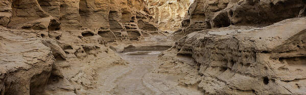 Utah Poster featuring the photograph Cubbyhole Canyon by Dustin LeFevre