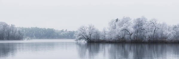 Winter Poster featuring the photograph Winter Landscape by the Water by Nicklas Gustafsson