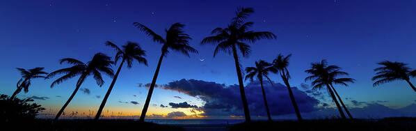 Sunrise Poster featuring the photograph Magic Hour at the Beach by Mark Andrew Thomas