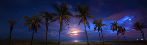 Moon Poster featuring the photograph Tropical Magic by Mark Andrew Thomas