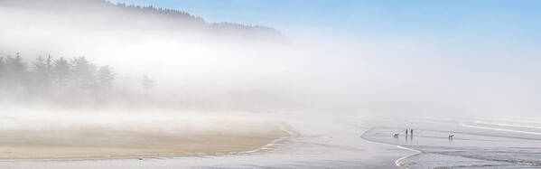 Mist Poster featuring the photograph Yachats Bay Mist 8386-090821-4 by Tam Ryan