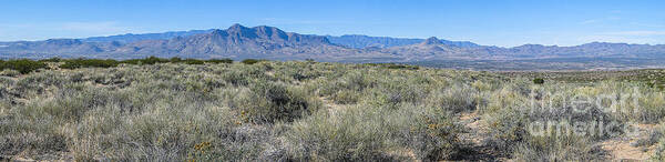 New Mexico Poster featuring the photograph Socorro New Mexico by Steven Ralser