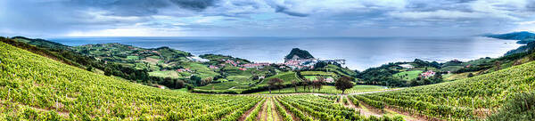 Getaria Vineyards Poster featuring the photograph Vineyards by the Sea by Weston Westmoreland