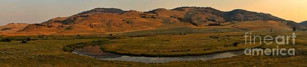 Slough Creek Poster featuring the photograph Yellowstone Slough Creek Sunrise by Adam Jewell
