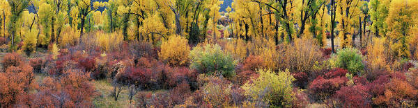 Idaho Scenics Poster featuring the photograph Autumn Panoramic by Leland D Howard