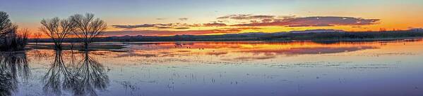 New Mexico Poster featuring the photograph August 2020 Bosque del Apache Sunrise Panorama by Alain Zarinelli