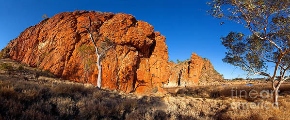  Glen Helen Gorge Central Australia Outback Australian Landscape Gum Trees Water Hole Poster featuring the photograph Glen Helen Gorge #1 by Bill Robinson