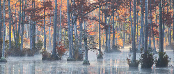 Adams Mill Pond Poster featuring the photograph Adams Mill Pond Panorama 11 by Jim Dollar