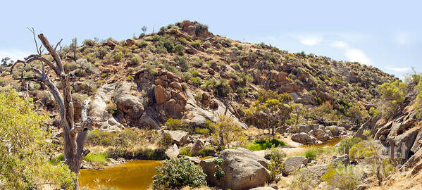 Outdoors Poster featuring the photograph Australian Outback Oasis by THP Creative