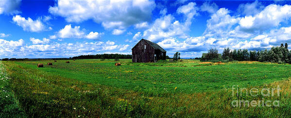 Brimley Poster featuring the photograph Brimley farm near Sault Ste Marie Michigan by Tom Jelen