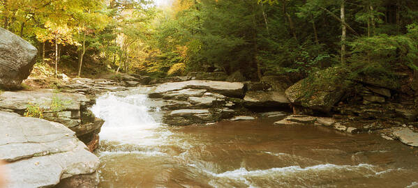 Photography Poster featuring the photograph Kaaterskill Falls Stream by Panoramic Images