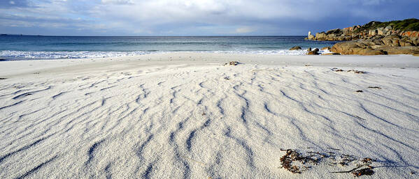 Bay Of Fires Poster featuring the photograph Taylors Beach - Bay of Fires - Tasmania by Anthony Davey