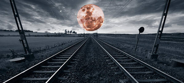 Train-tracks Poster featuring the photograph Train Journey Into Nowhere by Christian Lagereek
