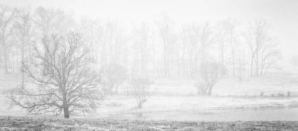 Winter Snow Poster featuring the photograph White Out II by David Waldrop