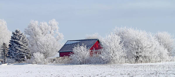 Frosty Poster featuring the photograph Frosty Morning on Red Barn by Jack Schultz