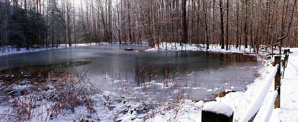 Pond Poster featuring the photograph Frozen Head Pond by Paul Mashburn