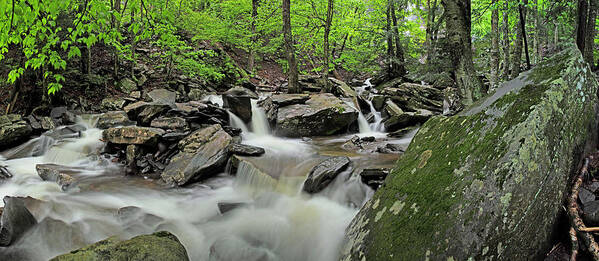 Kaaterskill Falls Poster featuring the photograph Kaaterskill Creek Panorama by Rick Berk