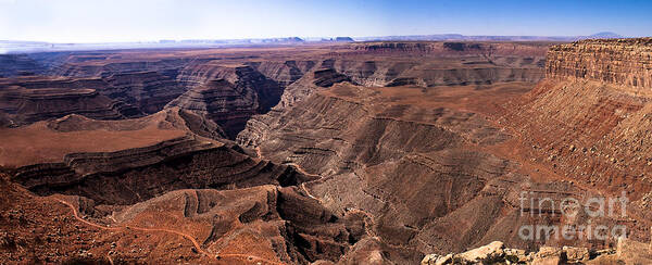  Panoramic Poster featuring the photograph Panormaic View of Canyonland by Robert Bales