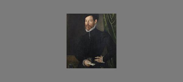 North Italian School Late 16th Century Portrait Of A Gentleman Poster featuring the painting Portrait of a gentleman #11 by MotionAge Designs