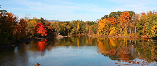 Landscape Poster featuring the photograph Autumn Catskill Creek panoramic by Larry Federman