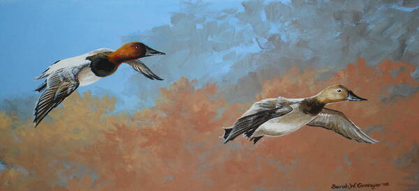 Ducks Poster featuring the painting Canvasbacks by Sarah Grangier