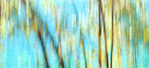 Abstract Poster featuring the photograph Columbia River Abstract by Theresa Tahara