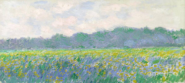 Field Poster featuring the painting Field of Yellow Irises at Giverny by Claude Monet