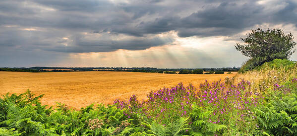 Fields Poster featuring the photograph Gods Light by Nick Bywater