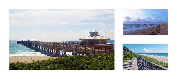 Beach Poster featuring the photograph Juno Beach Pier Florida Seascape Collage 8 by Ricardos Creations