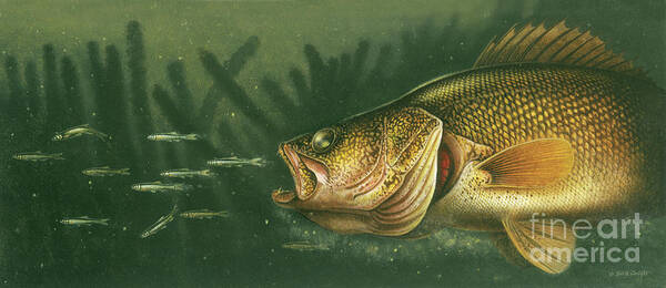 Jon Q Wright Poster featuring the painting Murky Water Walleye by JQ Licensing