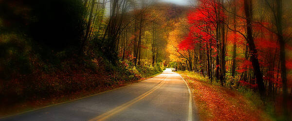 Fall Leaves Poster featuring the photograph NC Mountain Fall Drive by Gray Artus