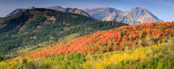 Fall Poster featuring the photograph Panoramic fall colors in the Wasatch Back. by Wasatch Light