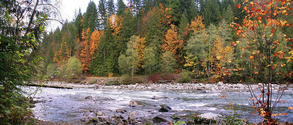 Sauk River Poster featuring the photograph Sauk River Fall Colors Panorama by Mary Gaines