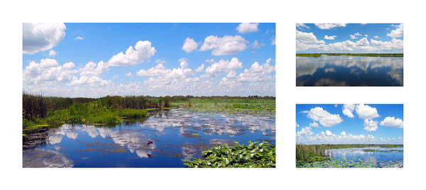 Art Poster featuring the photograph Skyscape Reflections Blue Cypress Marsh Florida Collage 1 by Ricardos Creations