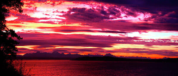 Red Sky Panorama Poster featuring the photograph Whidbey Red Sky Morning by Mary Gaines