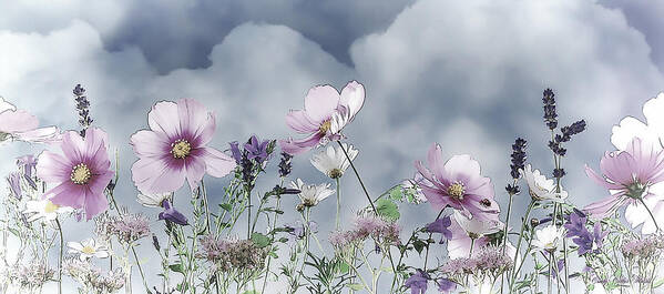 Wild Poster featuring the digital art Wild Flowers by Cindy Collier Harris
