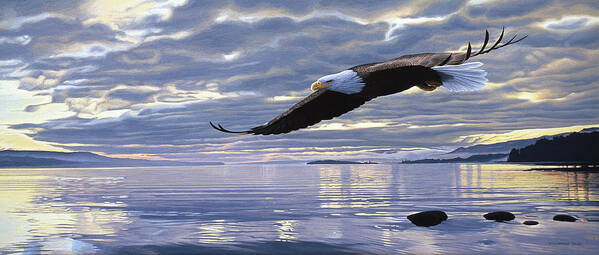 An Eagle Flies Over A Bay In The Early Morning. Poster featuring the painting Dawn Flight by Ron Parker