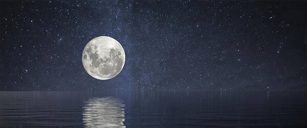 Moon Poster featuring the photograph Full Moon at Sea by Darryl Brooks