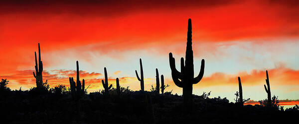 Panorama Poster featuring the photograph Saguaro Ridge Panorama, Arizona by Don Schimmel